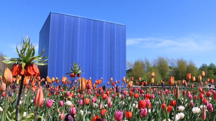 Universe - Science Park