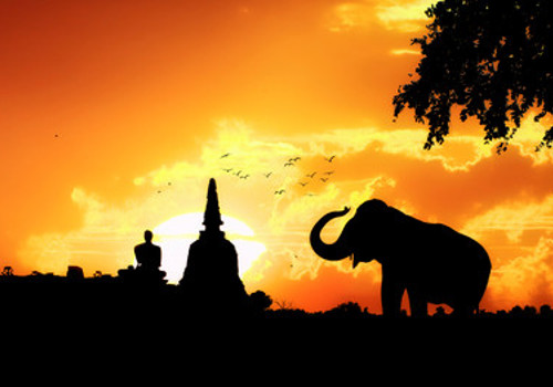 Elefanter Thailand
