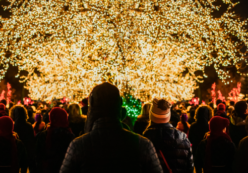 Jul I Odense ZOO