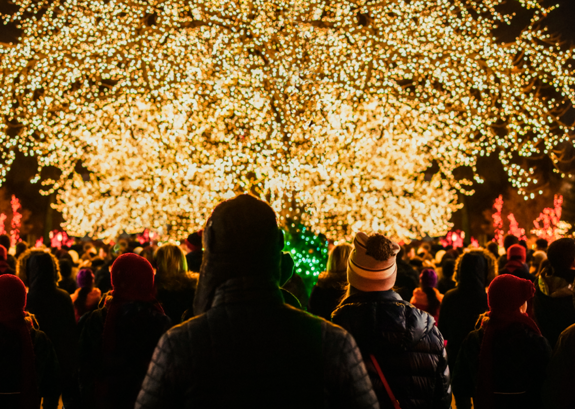 Jul I Odense ZOO