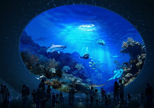 seattle-aquarium