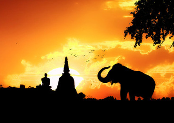 elefanter-thailand